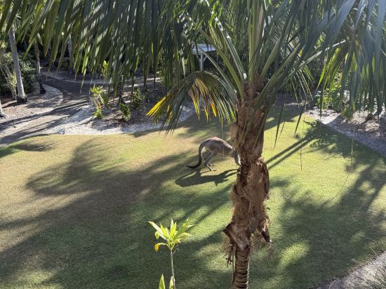 陽光海岸諾富特度假酒店優惠