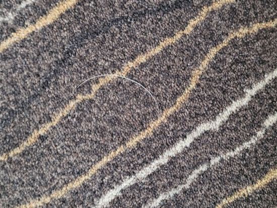 明斯克維多利亞SPA酒店優惠