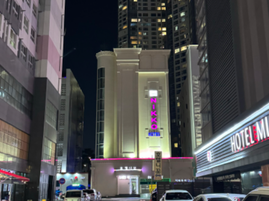 고양 일산 탄현 니꼬 호텔 쿠폰