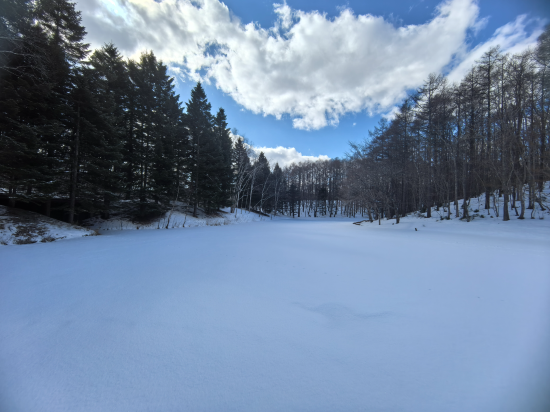 ホテル ニドム クーポン