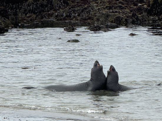 聖西蒙摩根酒店優惠