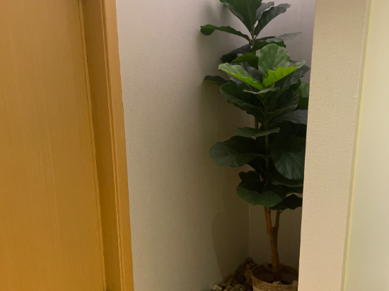 福清龍順大飯店優惠