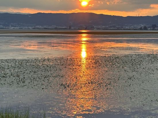 上諏訪温泉 しんゆ クーポン