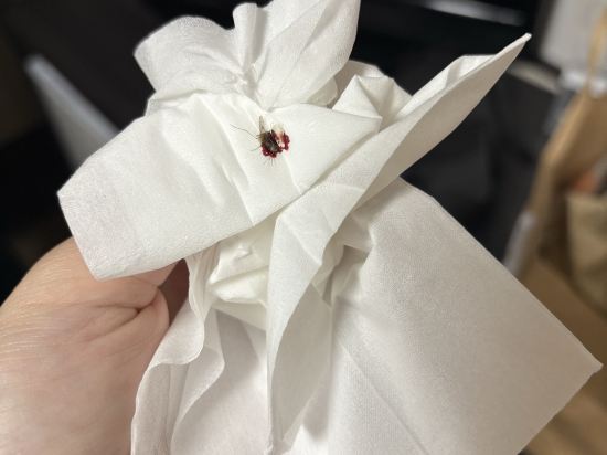 セレクトイン富士山御殿場 クーポン