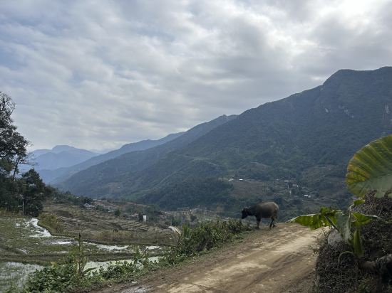 薩帕農場住宿優惠