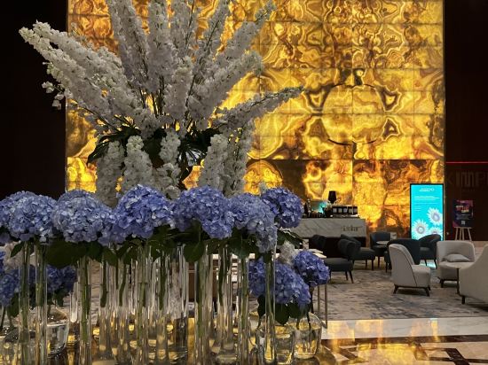 杜拜康萊德酒店優惠