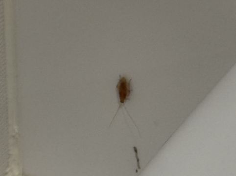 ホテルリソルトリニティ那覇 クーポン