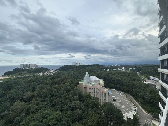 호텔더블루테라 쿠폰