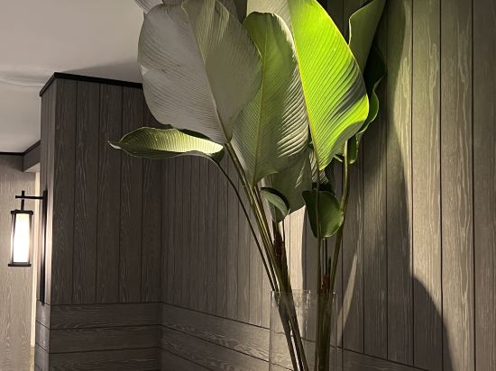 諾偉司吉里度假酒店及水療中心優惠