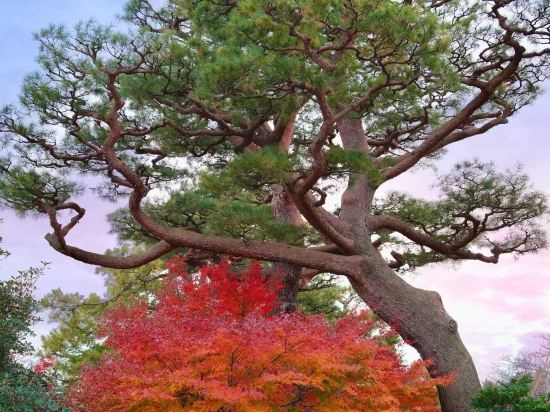 UNIZO旅館-金澤百萬石通優惠