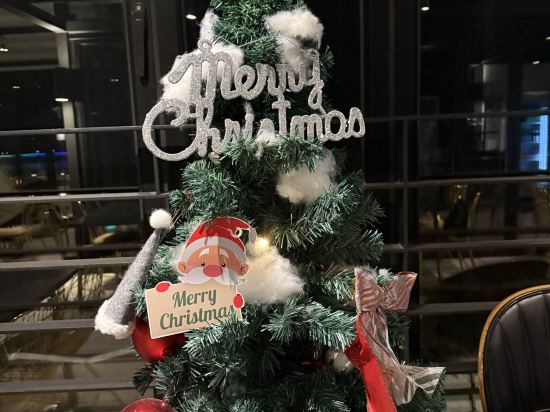 스터번호텔 쿠폰