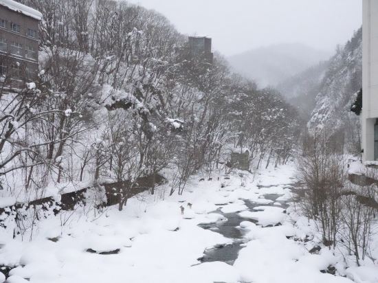定山渓 鶴雅リゾートスパ 森の謌 クーポン
