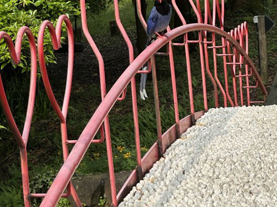 陽明温泉渡假村優惠