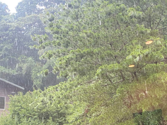 南投水裡禪與松休閒會館優惠