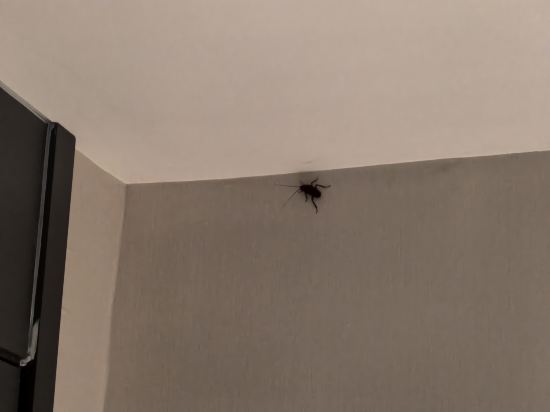 城市精選酒店（文昌鳳凰城店）優惠