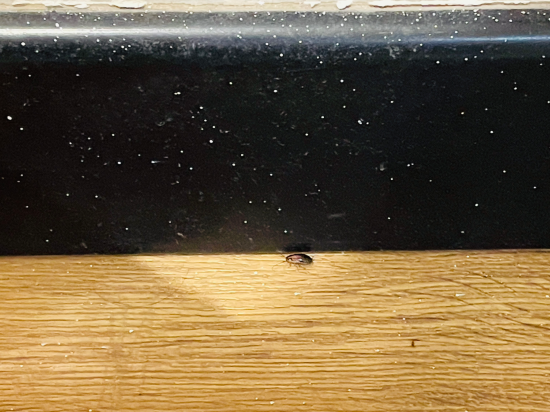 瓜拉丁加奴阿雷納精品酒店優惠