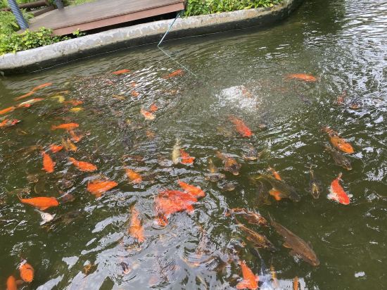 甲米淘凱精品度假村（SHA Extra Plus）優惠