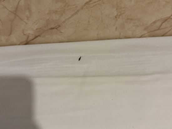 捷家優選飯店（上海浦東機場店）優惠