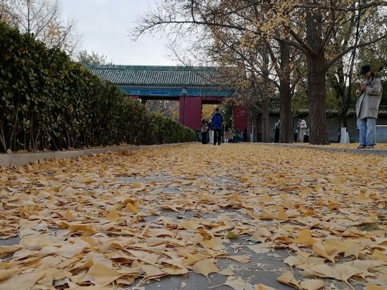 如家飯店（北京西直門北京北站店）優惠