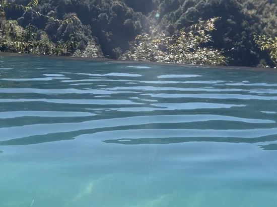 莽山森林温泉酒店優惠