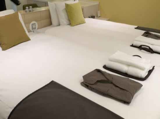 テンザ ホテル&スカイスパ・札幌セントラル クーポン