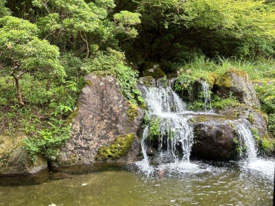 箱根湯の花プリンスホテル クーポン