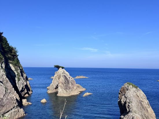 鳥取ワシントンホテルプラザ クーポン