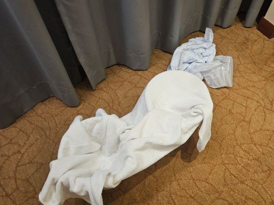 香港明愛白英奇賓館優惠