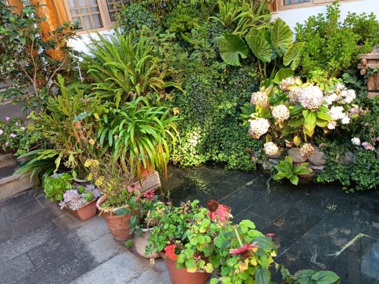 麗江花海客棧優惠