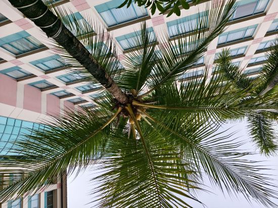 雅加達西普特拉飯店由瑞士貝爾飯店國際管理優惠