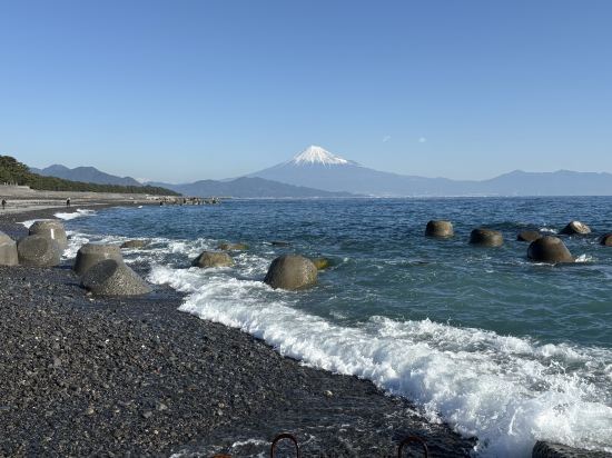 ホテルアソシア静岡 クーポン