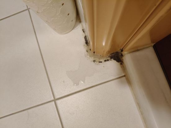 台中華登商務大飯店優惠