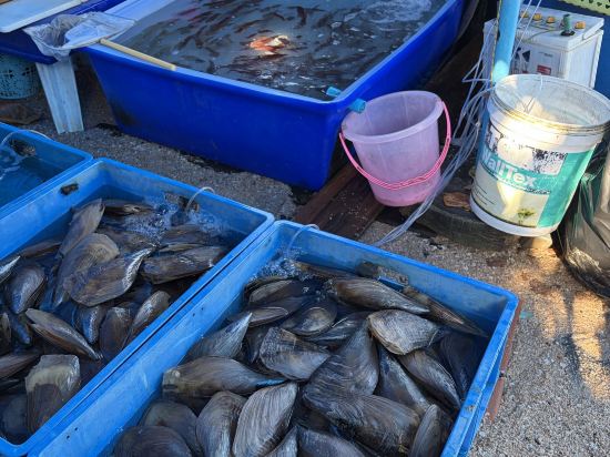 陽光飯店及公寓優惠