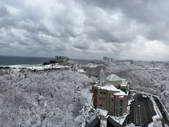 호텔더블루테라 쿠폰