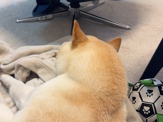 東急ステイ渋谷 新南口 クーポン