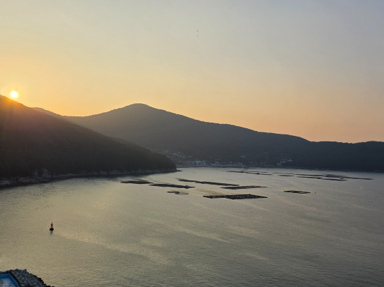 호텔리베라 거제 쿠폰