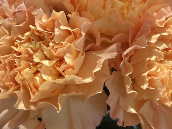 義烏博覽皇冠假日酒店優惠