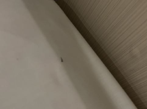 香港遠東絲麗酒店優惠