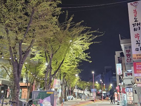 Dawoo House 2 in Hongdae優惠