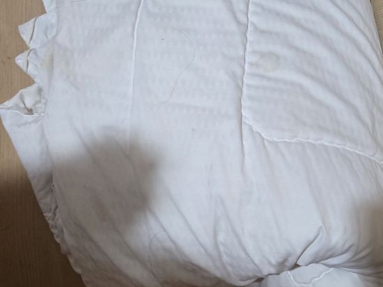 桃園蓮園商務旅館優惠