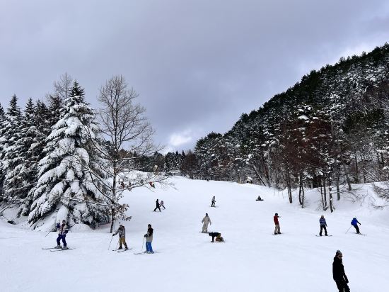 b hotel Neko Yard 広島 クーポン
