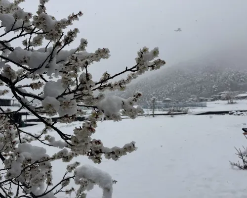 Dot Glamping Fuji In der Nähe des Hotels Photos