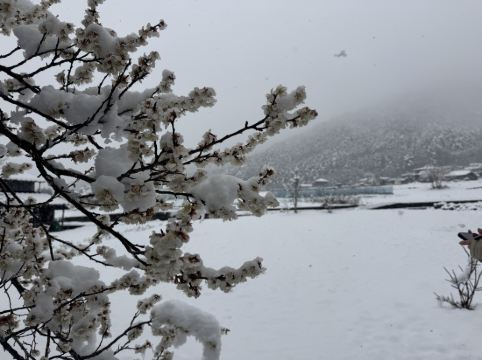 Dot Glamping クーポン