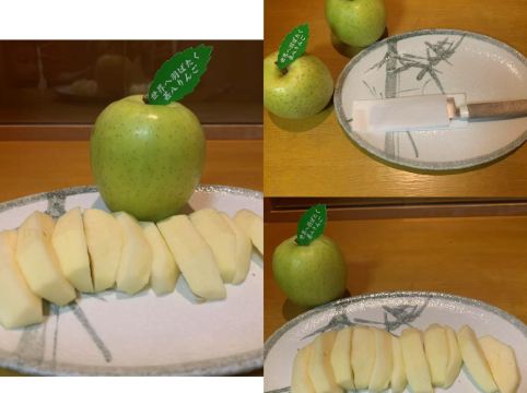 津軽南田温泉 ホテルアップルランド クーポン