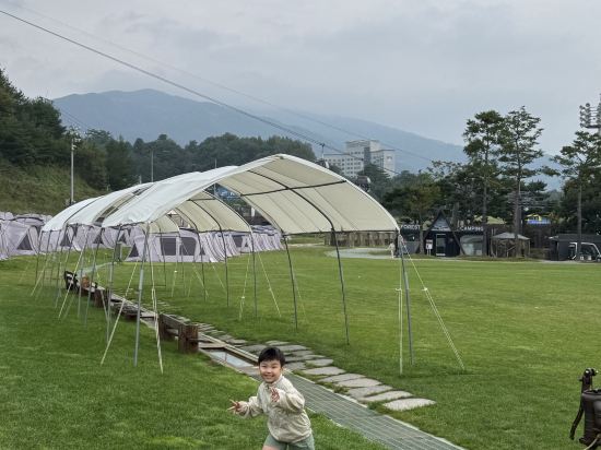 휘닉스 평창 리조트 쿠폰