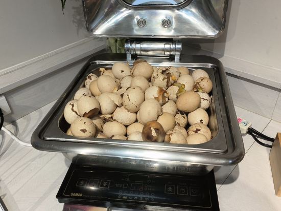 塔木德酒店-臺中館優惠