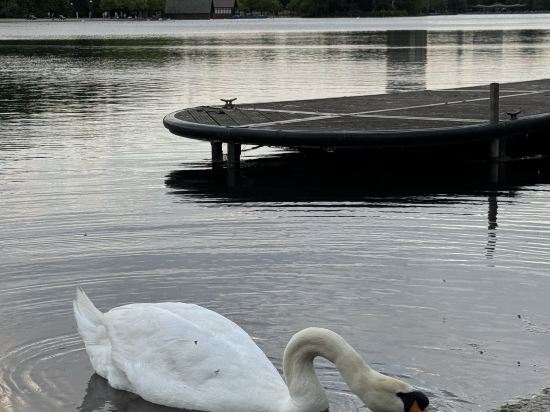 皇后公園酒店優惠