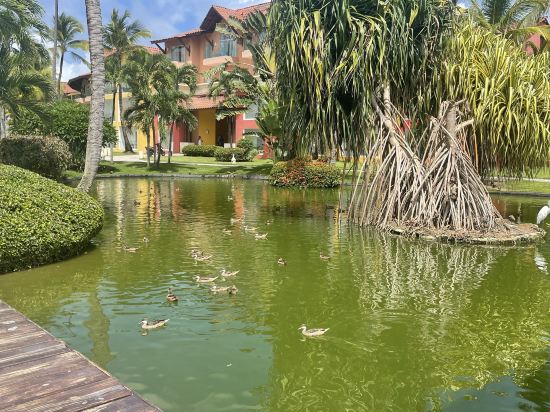 加勒比豪華公主海灘度假全包酒店優惠