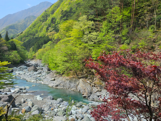 西山温泉 慶雲館 クーポン
