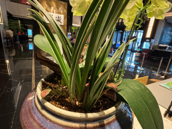 嘉興希爾頓飯店優惠